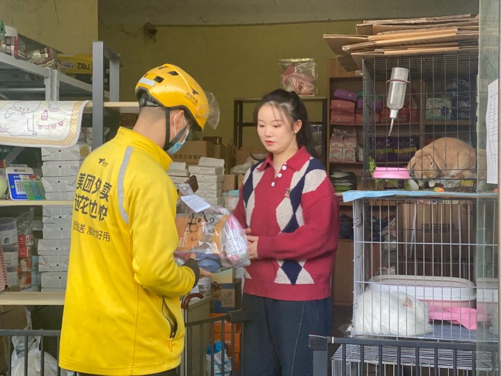 降温一周一家宠物店卖出了上百条小毯子杭州年轻人为什么爱上了给宠物点外卖